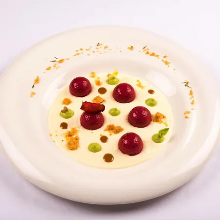 Bristol Palace מלון